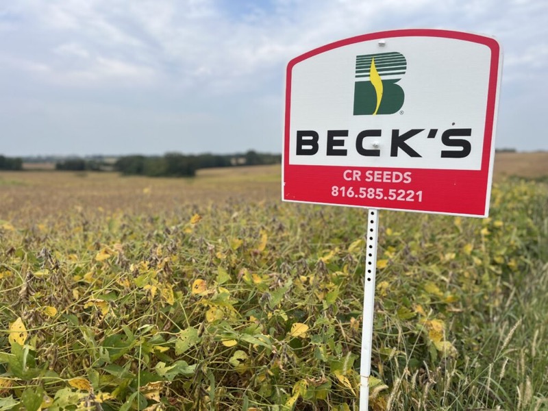 A Beck’s CR Seeds sign with phone number in a soybean field