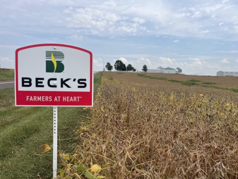 A Beck’s Farmers at Heart sign at the edge of a mature soybean field