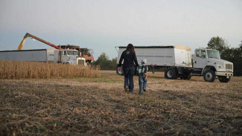 Family watching grain trucks during soybean harvest