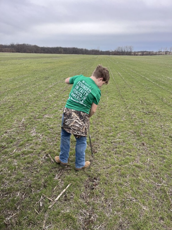Soil sampling in a green field