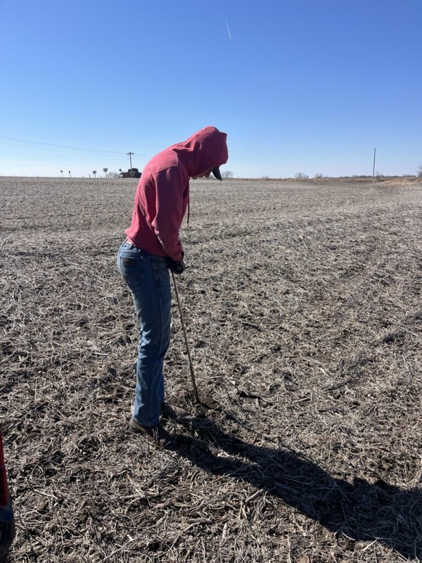 Pulling soil samples with a probe in a field